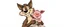 Placeholder: happy excited wolf smiling carrying a lovely scared wtf are you up to, pig girl with dress under his arms , stupid cartoon, airbrush and pen outline
