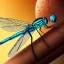 Placeholder: Damselfly full body colorful