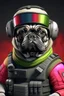 Placeholder: doc from rainbow six siege as a pug