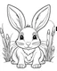 Placeholder: Coloring book for toddlers, simple lines drawings, no lines inside of the drawing, baby rabbit, cartoon, full body, outline of the drawing in bold line, symmetrical, white background., no background image, without any background image, completely white background.