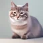 Placeholder: beautiful transparent smooth realistic cat background, extremely sharp detail, finely tuned detail, ultra high definition, 8k, unreal engine 5, ultra sharp focus, accurate hands