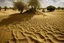 Placeholder: A brown savanna covered in sand painted by Antoni Gaudi