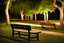 Placeholder: Night, square bench, dirt roads, trees, photography