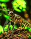 Placeholder: a national geographic style photograph of a eagle mantis lizard hybrid