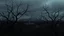 Placeholder: A dark, gloomy landscape with a city skyline in the background, surrounded by twisted, bare tree branches that seem to be reaching out. The city appears to be in a state of decay, with the buildings appearing worn and dilapidated. The overall atmosphere is one of desolation and decay