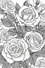 Placeholder: rose coloring page