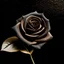 Placeholder: Create small black rose and brown background