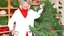 Placeholder: martha stewart as a tree