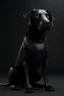 Placeholder: humanoid black dog