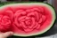 Placeholder: rose watermelon carving