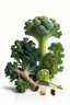 Placeholder: brassica napus and pinus sibirica gum on white background