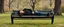 Placeholder: master oil painting by Rembrandt, flat person sleeping on a bench in the park