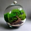 Placeholder: stunning bonsai terrarium in a glass orb, pebbles, pastel colors, warm lighting, linen backdrop