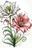 Placeholder: tattoo design drawing of a carnation and a lily