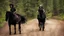 Placeholder: warrior sorcerer leading a black horse on forest path