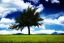 Placeholder: Tree on field, clouds, mountains