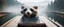 Placeholder: close up on huge dented glowing ghost transparent rat racoon in designer clothes in fast boat with googly eyes, raised by ninja necromancer in the wild, on wooden bridge by lake in surreal reflecting stone chrome landscape, background motion blur, volume light fog, rays, 4d maze