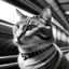 Placeholder: monorail cat with monocle in monochrome