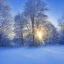 Placeholder: winter landscape, crystal, sun, stars