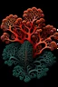 Placeholder: coral illustration ernst haeckel style, single object, black background