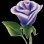 Placeholder: purple flower, glossy anime