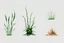 Placeholder: "Isolated concept art of multiple types of alien grass on a plain neutral background. Designed for different biomes: Forest biome – lush, dense, tall grass with strange broad blades, glowing tips, and twisted leaves. Swamp biome – slimy, wet, moss-like grass with tangled roots, bioluminescent details, and spongy textures. Desert biome – dry, spiky, brittle grass with sharp edges, thorn-like blades, and pale dusty colors. Each grass type should have a unique silhouette and texture. Science fic
