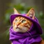 Placeholder: red cat wearing a purple hat