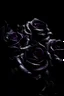 Placeholder: valentine's day, perfect, black and purple velvet roses, beautiful, love, dark, darkness, chthonic