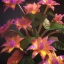 Placeholder: Exotic surreal living glass prism flowers by Chris Wood, sunbeams, intricate details, hyper realistic, 8K resolution, featured on behance