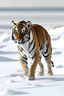 Placeholder: tiger in arctic