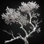 Placeholder: 3D rendering of Expressively detailed and intricate of a hyperrealistic “glossy white dried branch without leaves”: side view, scientific, single object, black background, octane render, 8k post-production, detailled metalic bones, artstation: award-winning: professional portrait: atmospheric: commanding: fantastical: clarity: 16k: ultra quality: striking: brilliance: stunning colors: amazing depth