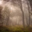 Placeholder: ultra high resolution, misty forest in spring at sunrise with warm light rays, highly detailed, intricate, 8k, unreal engine, hr giger, long shot, cinematic, vibrant, colorful