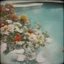 Placeholder: Stock flowers in a swimming pool, autochrome