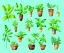 Placeholder: Vector plants and herb set illustration. Watercolor