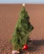 Placeholder: sandy festive Christmas tree in a vast desert with samddunes