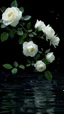Placeholder: The image is a digital artwork that depicts a branch of tree of white roses and leaves tangling in to a water in the river with aThe rose floats on the surface of the water, creating a wave-like effect. The background is black, which makes a branch of a tree of white roses stand out even more. Water droplets are scattered adding to the dreamy, ethereal quality of the image. The a