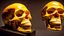 Placeholder: a picture of a dark, comedic, anatomically correct skull of a smiley face, photo realistic, highly detailed, yellow, old, part of a collection of bones on display on a scientists shelving