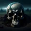 Placeholder: a skull inside the ground of an ending world