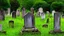 Placeholder: old graveyard overgrown headstones