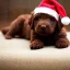 Placeholder: brown labradoodle puppy with a santa hat, very cute, adorable