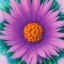 Placeholder: microphotography top-down view of a multicolored complex flower, high definition, detail, HD, 8k, realistic, 3d rendering, blender, photography, fisheye, bulge, tilt shift blur, microbiology