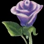 Placeholder: purple flower, greeting card illustration