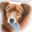 Placeholder: Colored pencil drawing. Portrait, realistic, dog, fur texture.