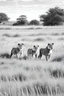 Placeholder: Black and white outlined lions roaming on grasslands