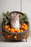 Placeholder: Cat bed decorate with oranges