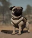 Placeholder: pug dog with a rifle