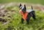 Placeholder: origami terrier with brown eyes and black fur long snout , tri color, paper folding, miniature, cute, handmade, precise, intricate folds, traditional Japanese art style, long fur , the dog stand in long green grass