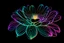 Placeholder: black background, outlines of a beautiful holographic flower, drawn from thin neon-coloured glowing lines