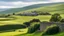 Placeholder: Beautiful landscape in the English Yorkshire Dales, hills, fields, rural buildings, dry stone walls, foorpaths, chiaroscuro, peace, tranquillity, beautiful light and colour