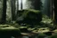 Placeholder: a forest with big rock on center